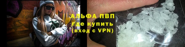 молекула духа Волоколамск