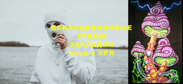 молекула духа Волоколамск
