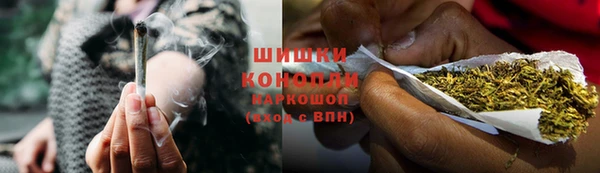гидра Верхний Тагил