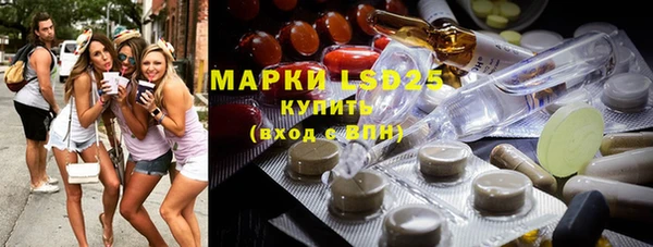 ПСИЛОЦИБИНОВЫЕ ГРИБЫ Верея