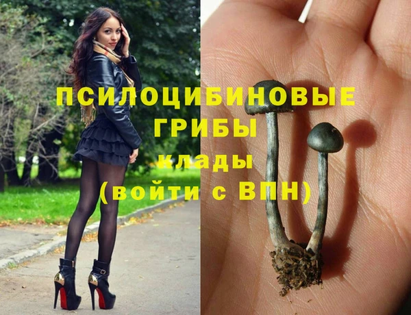 молекула духа Волоколамск