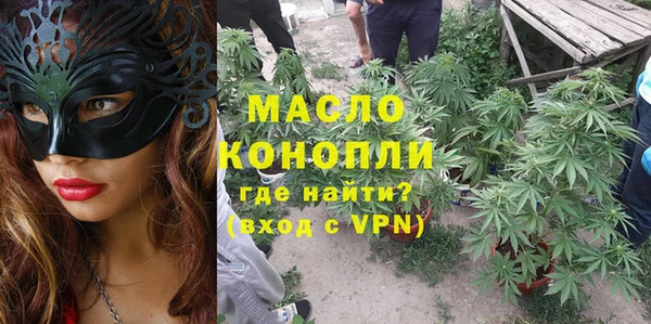 молекула духа Волоколамск