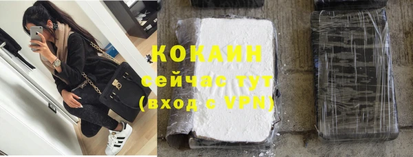 молекула духа Волоколамск