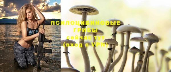 молекула духа Волоколамск
