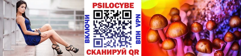 Псилоцибиновые грибы MAGIC MUSHROOMS  мориарти телеграм  Елец  где можно купить наркотик 