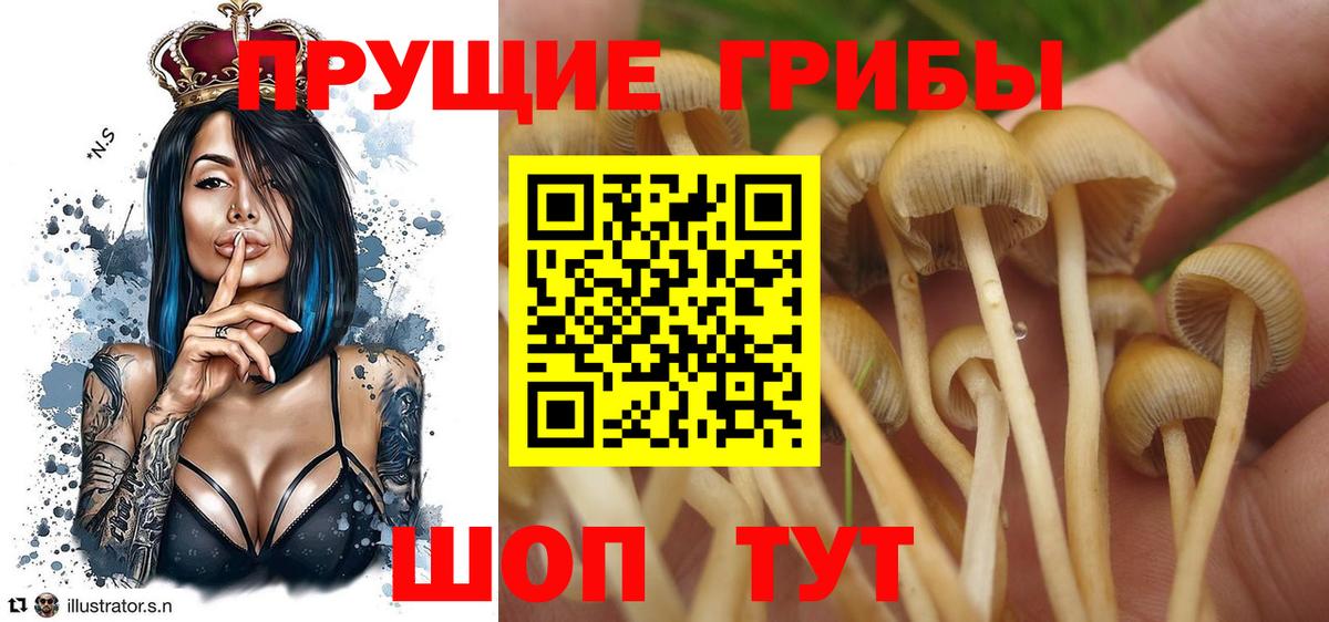 Галлюциногенные грибы MAGIC MUSHROOMS  купить  сайты  Елец  Вход с VPN 