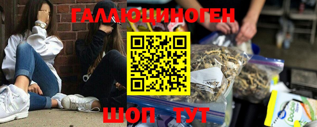 Псилоцибиновые грибы GOLDEN TEACHER Елец